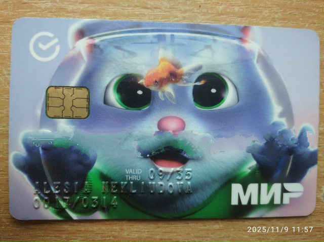 Нашла у большого Магнита. Верну хозяйке