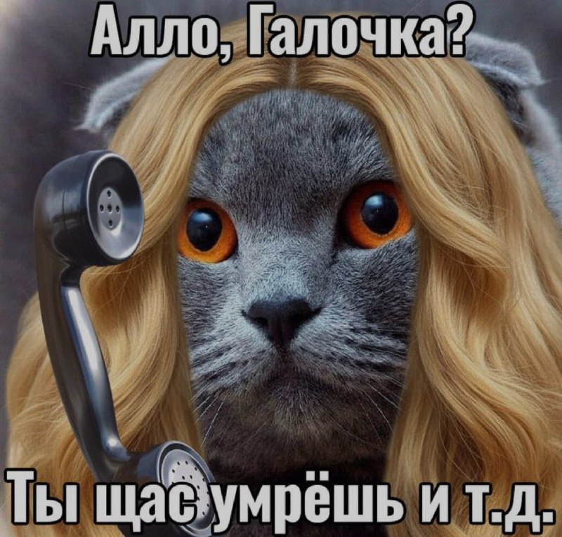 Ночная подборочка
Спать, режим