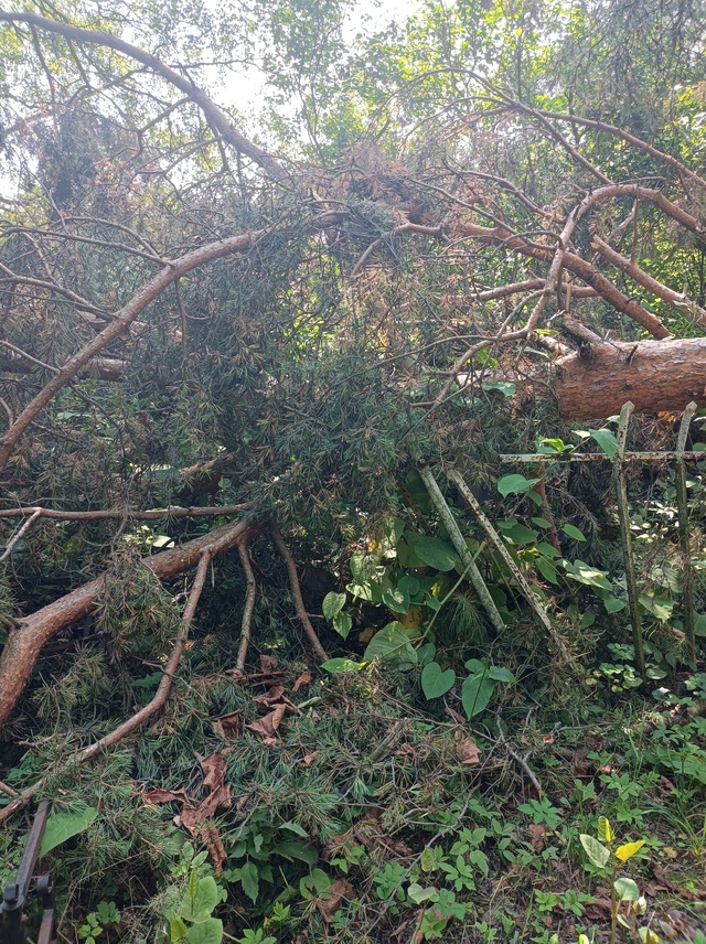 Кладбище на улице Маяковского.Во время урагана повали?...