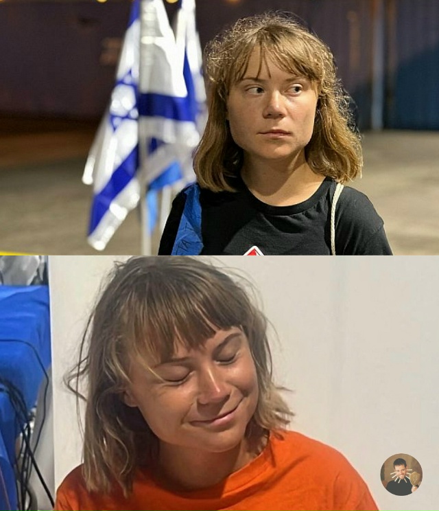 По данным The Guardian, шведская экоактивистка пожаловалась...