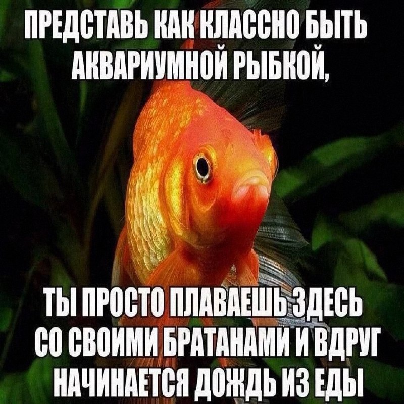 Утренняя подборочка
