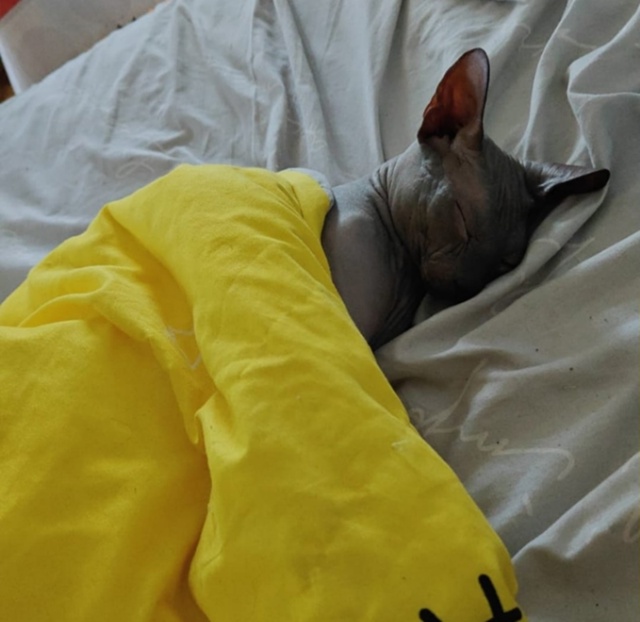 Мой Космос ?? Мой пирожок , мамин серенький волчонок ...