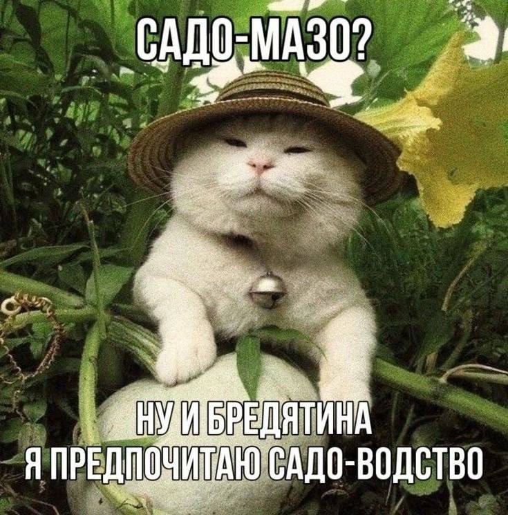 Утренняя подборочка