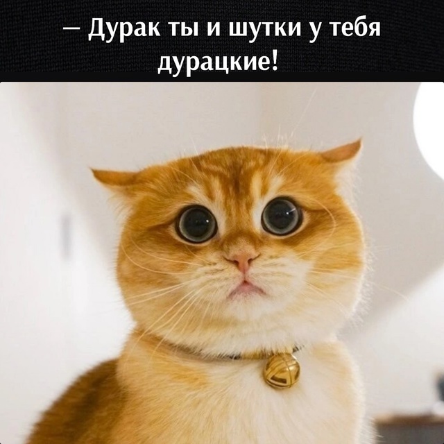 😂😂😂