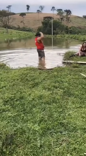 Выпускайте бычка