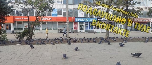 Тулякам напоминают о штрафах за кормление голубей
Ко...