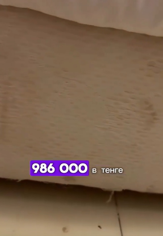 Семья с детьми отдала миллион за тур — и осталась ни с ?...