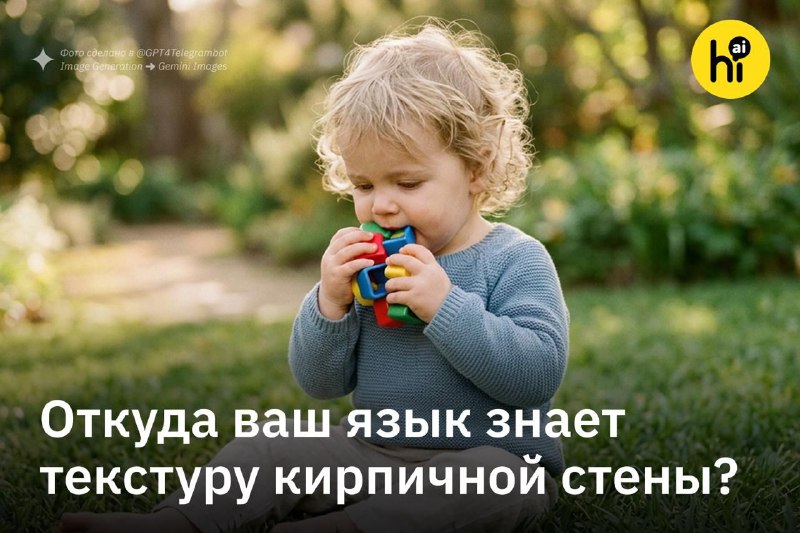 💡 Мысленно лизните любой предмет около вас. Откуда вы знаете, каково это?
Откуда вы знаете текстуру