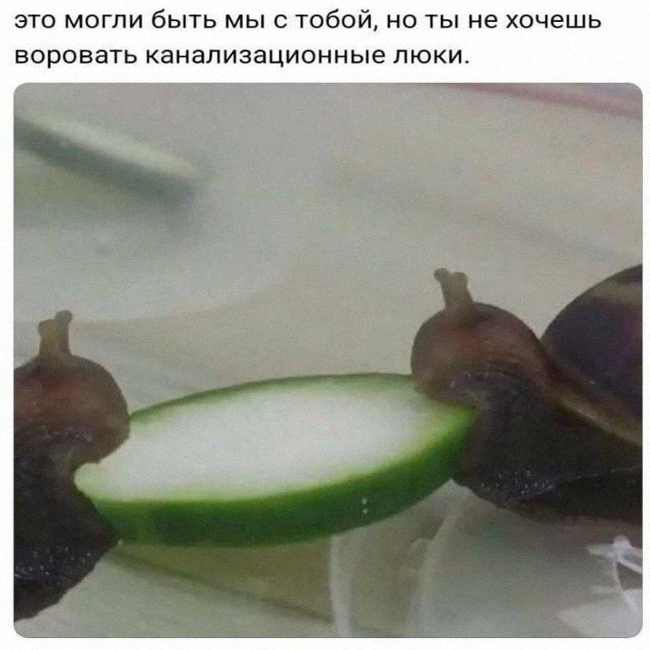 Утренняя подборочка