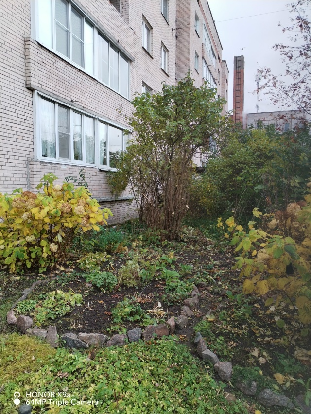 Добрый день! Опубликуйте пожалуйста. Крик души. Аммерм?...