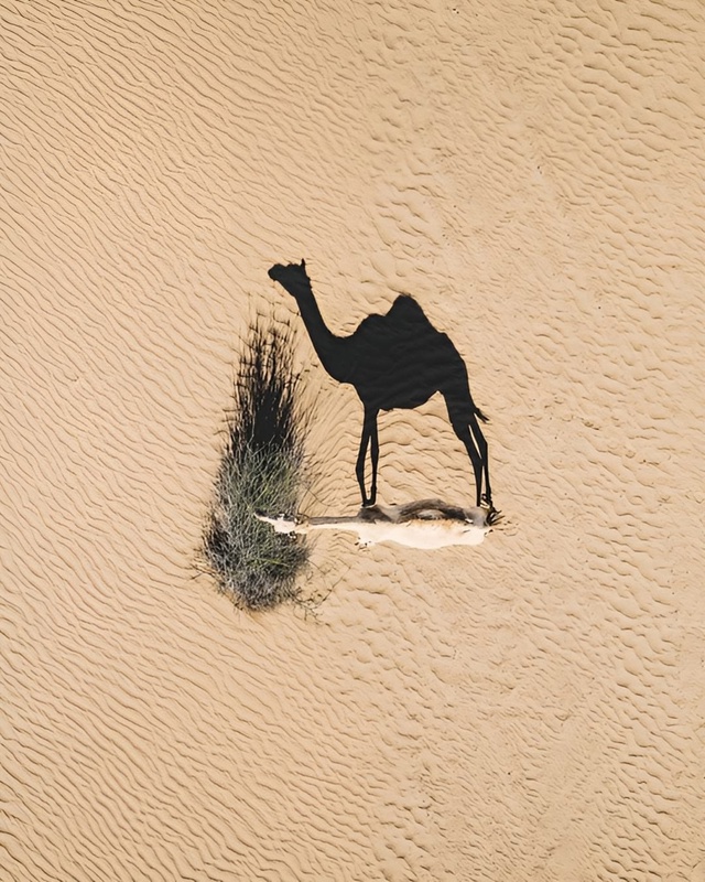 Гипнотические фотографии с дронов от автора Abstract Aerial Ar...