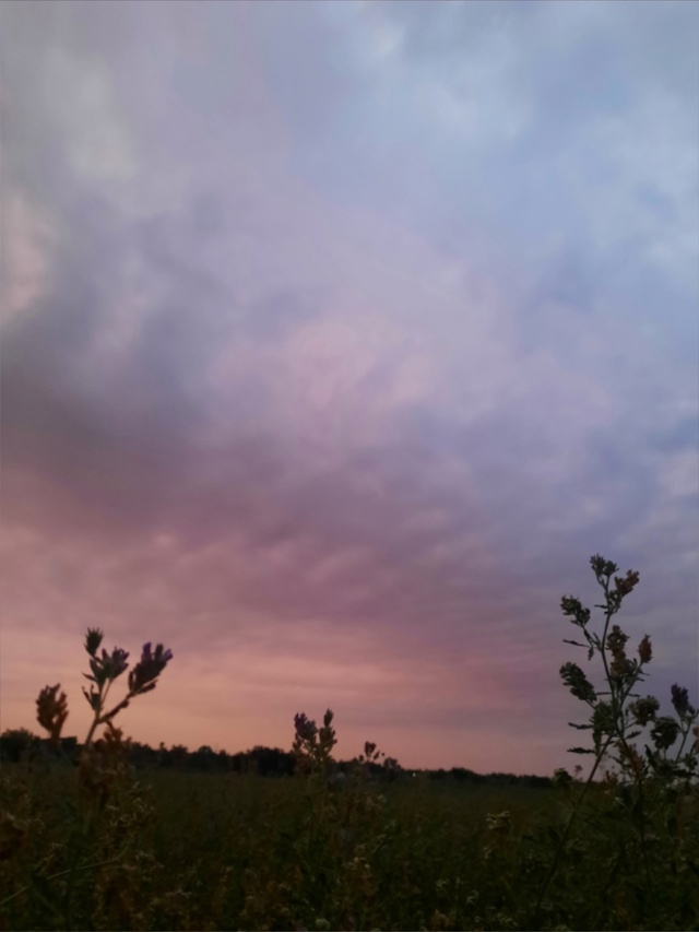 Доброго утра, Никольск❤