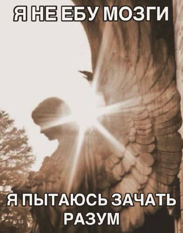 Я после того, как попыталась объяснить мужику какие-то базовые алгоритмы нормального поведения, а он