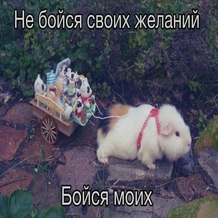 Ночная подборочка
Спать, режим