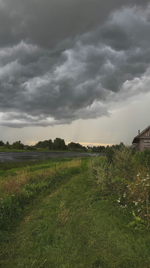 Рекордных 4 дня без дождя, и вот опять 🌧️