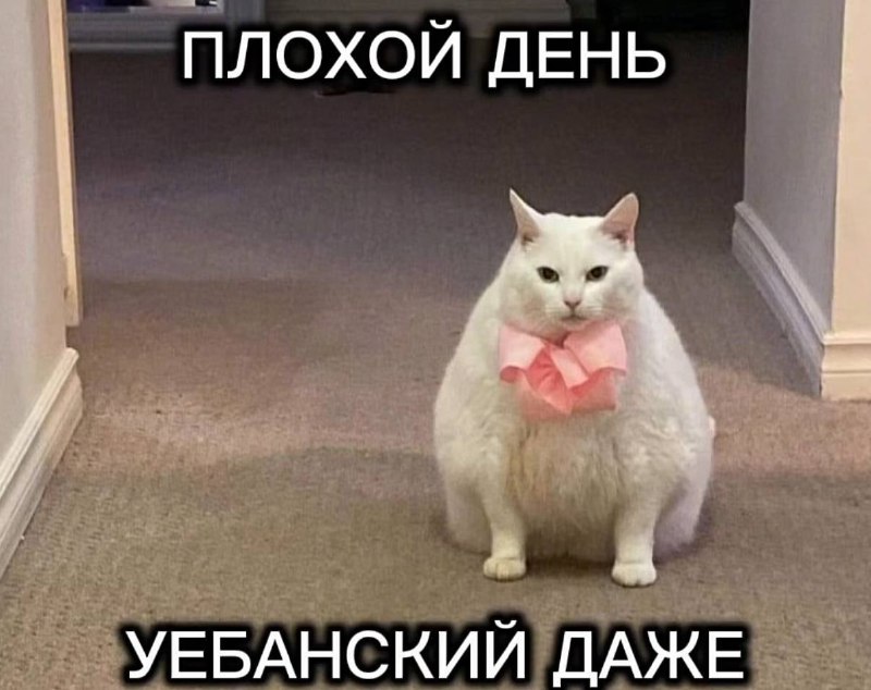 Как ощущается, когда вышла на улицу в спешке и забыла брызнуться духами