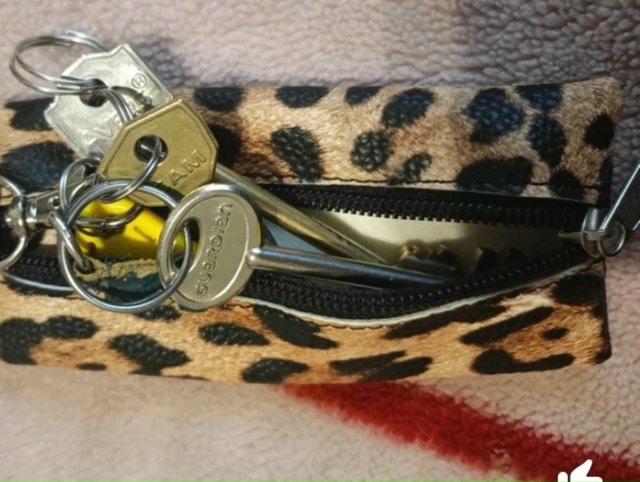 Здравствуйте,вчера утеряна связка ключей в леопардово...