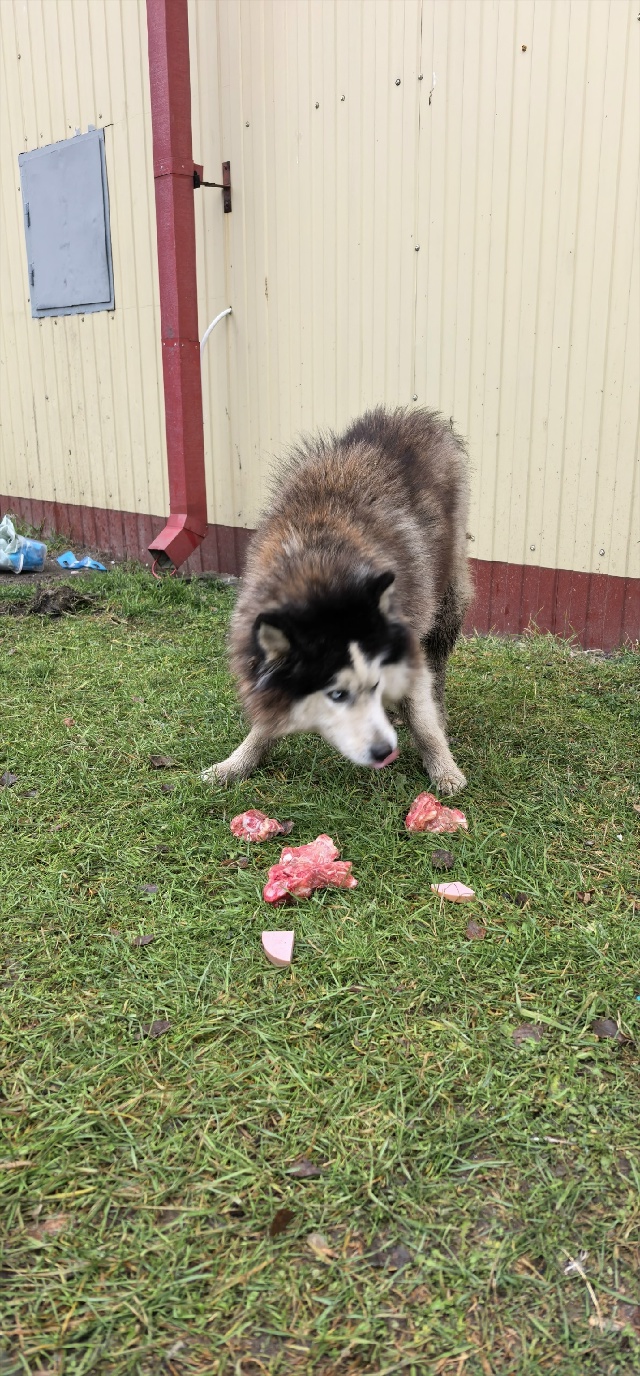 Опубликуйте пожалуйста, вдруг кто-то ищет.
В районе дор...