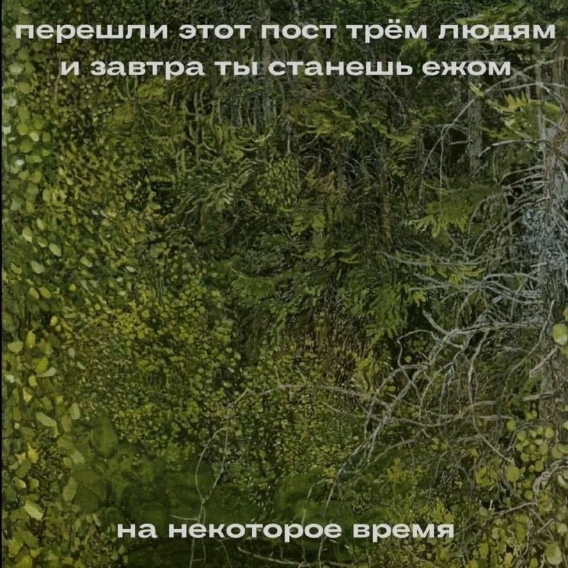 Ночная подборочка
Спать, режим