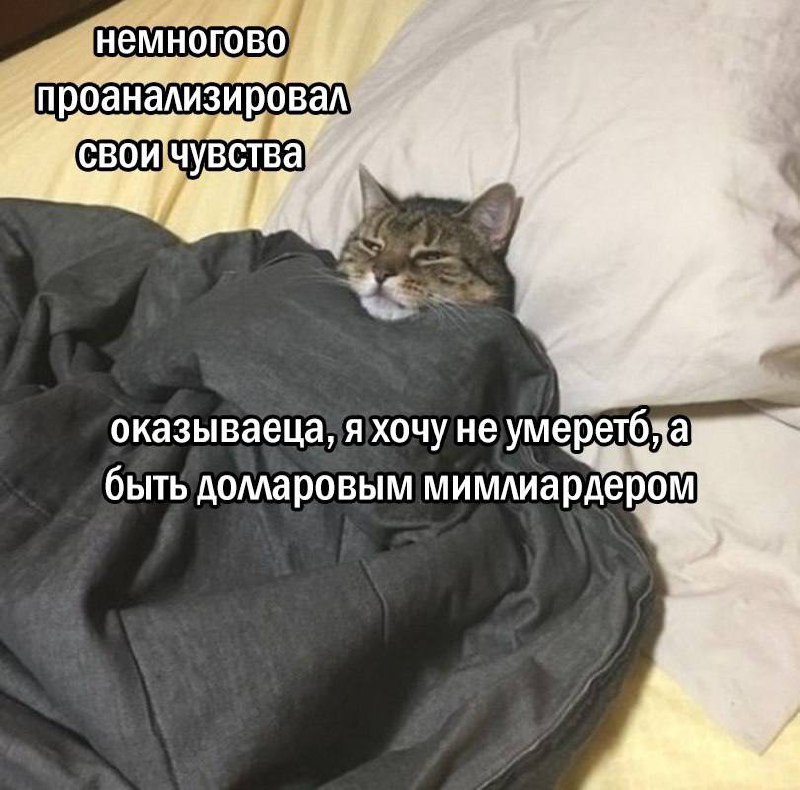 Утренняя подборочка