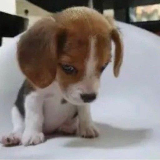 Действительно, это весьма меткий и глубокий вопрос, ко?...