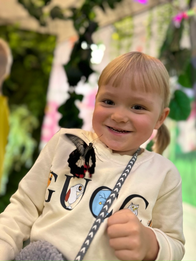 🦋 ЗАВТРА ОТКРЫТИЕ выставки «Чудеса Тропиков и Живые Б...