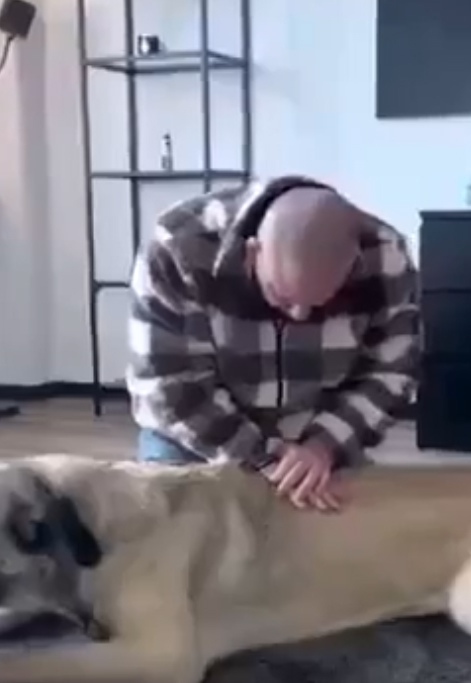 Айболит который ничего не боится!