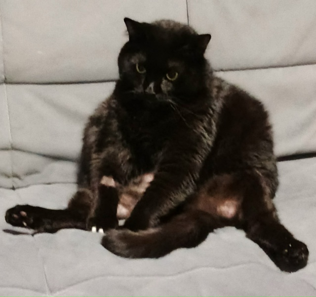 Когда почти получил фигуру мечты, но злые взрослые пос?...