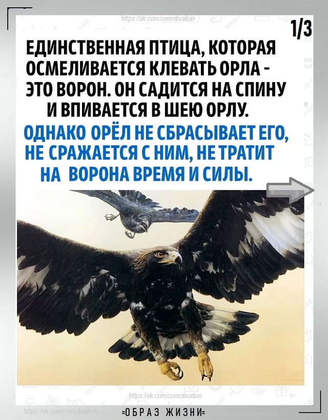 Не тратьте время и силы на то, что не стоит вашего внима...