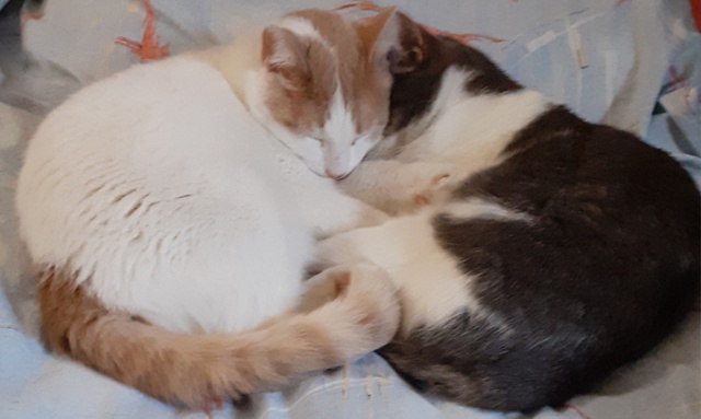 Всем дарим сердечко)