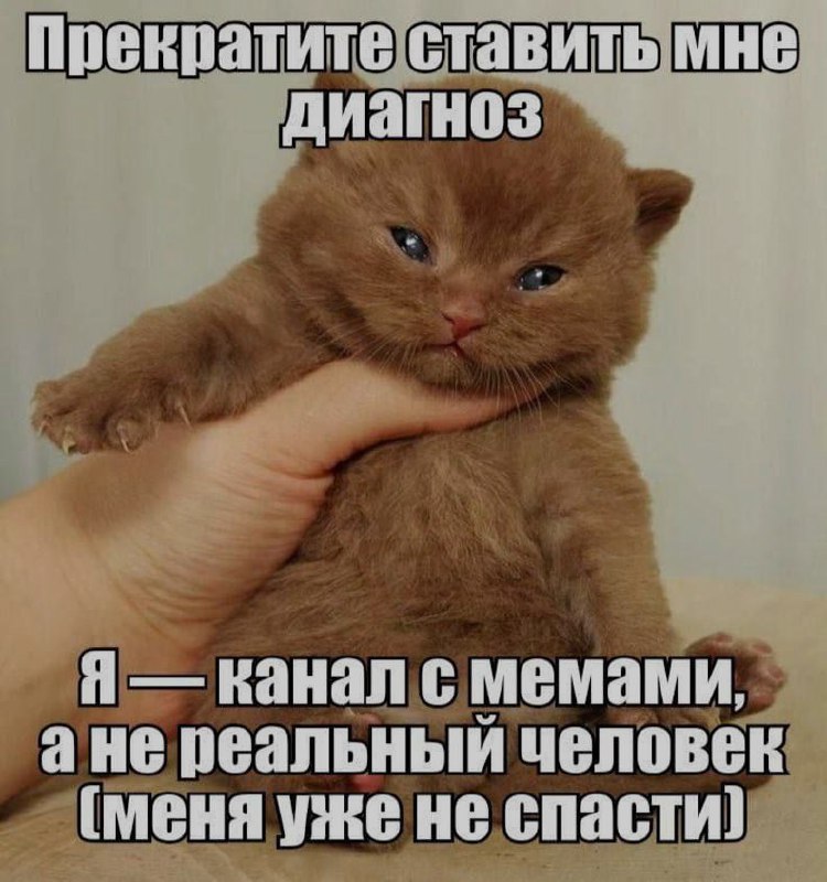 Ночная подборочка
Спать, режим