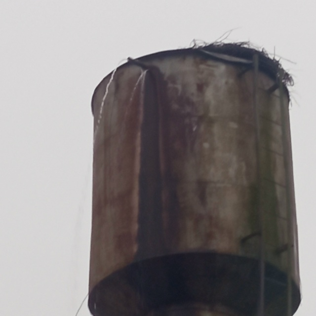 Деревня Подгороднее, задача для четырёхклассника: 10 л ?...