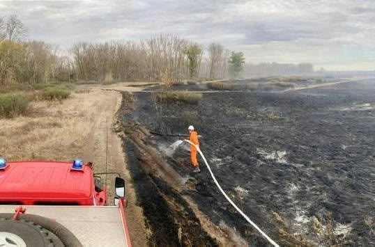 ⚡️Сегодня в считанных метрах от Бузулукского бора за?...