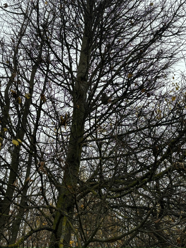 застряла кошка, если кто то может, спасите ее.
Рядом с г...