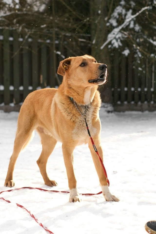Уважаемые соседи, здравствуйте
Пост-боль
Никто не ище?...