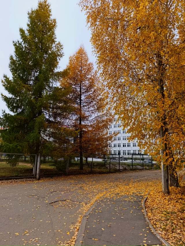 Доброе утро ⛅
Фото: Lyubava lv