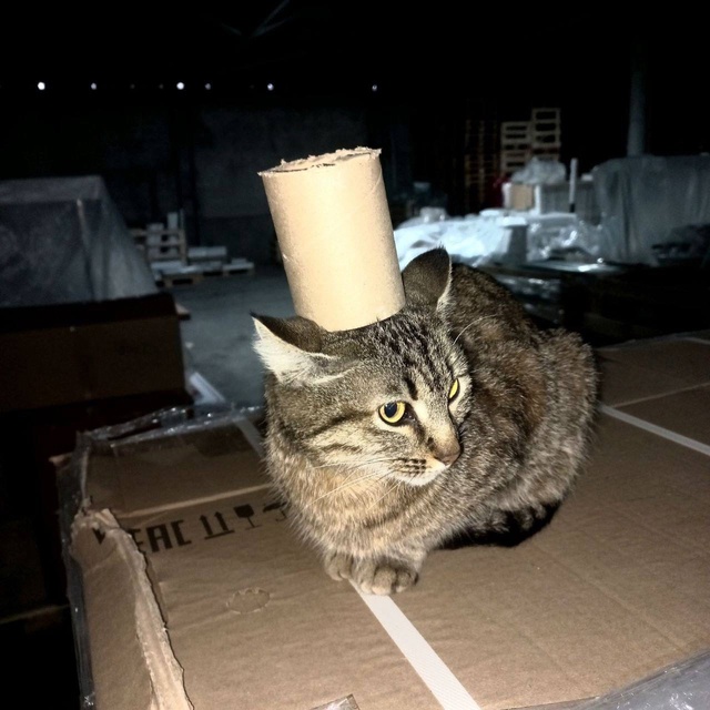 Валера, ну ебанарот! Опять ты паясничаешь! Мастер цеха ?...