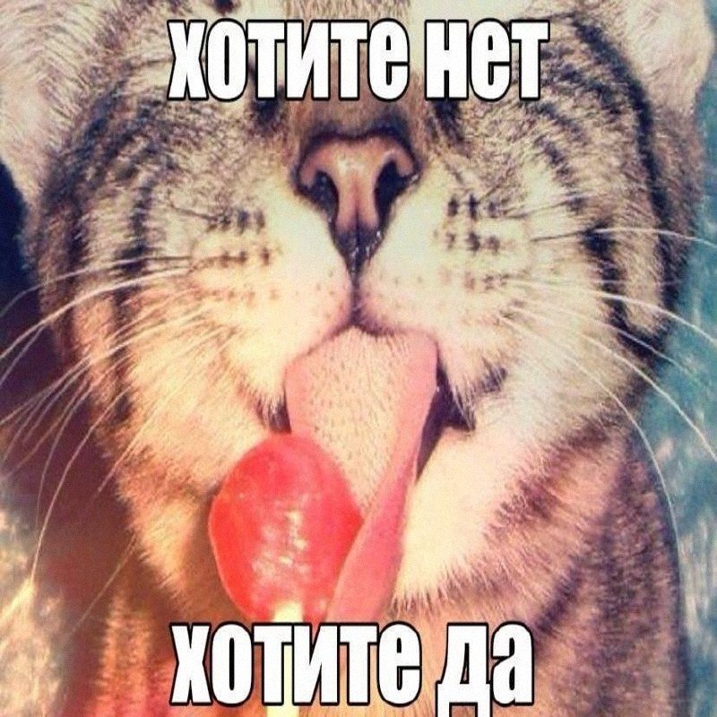 Ночная подборочка
Выходные, не спим