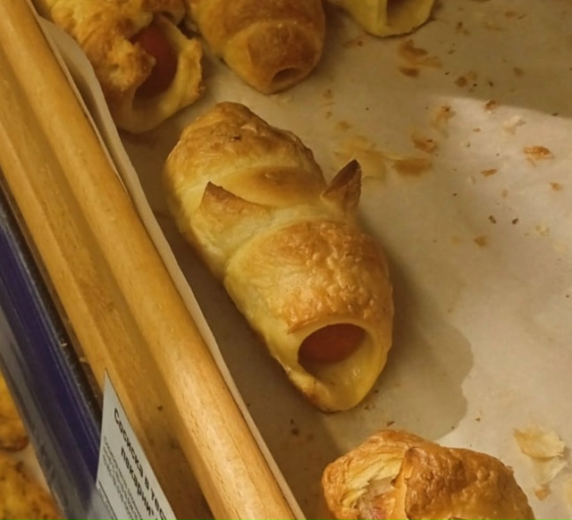 онет кот застрял в сасискивтести давайте наберем 5000 ла...