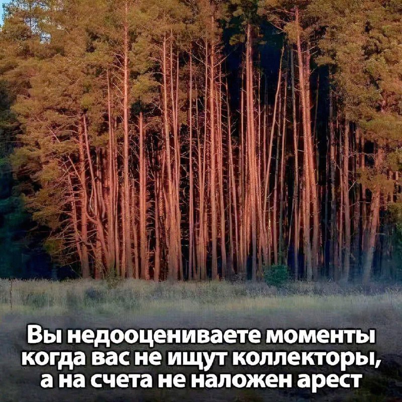 Утренняя подборочка