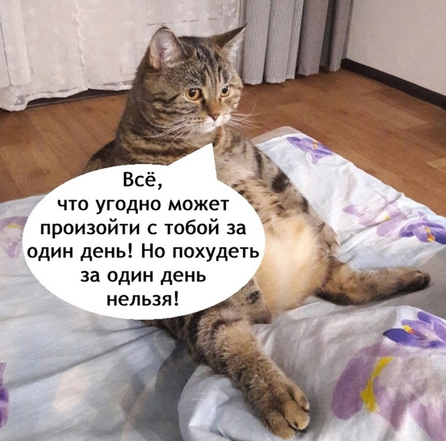 Смирение это пусть к успеху
