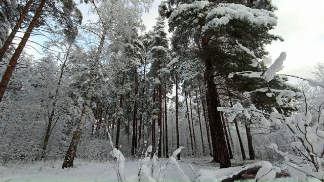 Немного зимней красоты))