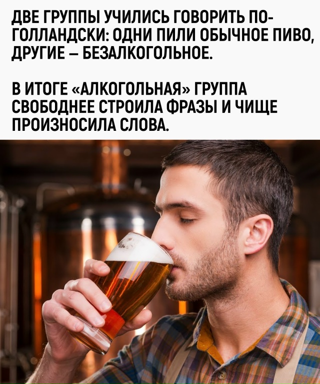 После пары кружек ты уже свободно говоришь на голландс...