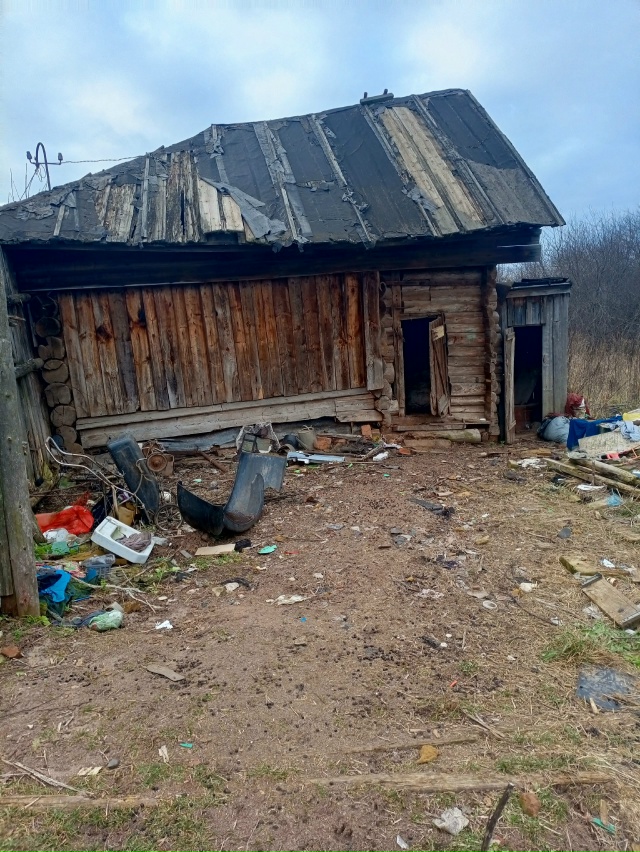 Уже больше недели не видим хозяйку у козлячьего стада. ...