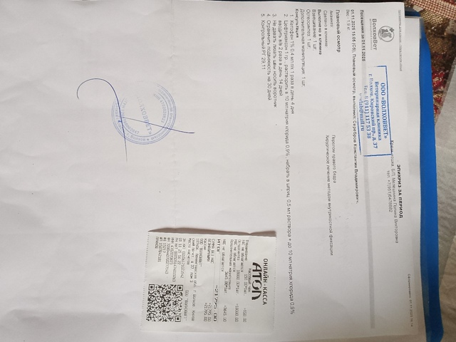 Здравствуйте, всем неравнодушным огромное спасибо, кт?...