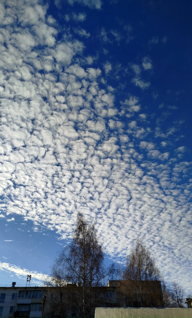 11.11.25г.
побольше бы таких дней, ясных, ярких и красивых!!!...