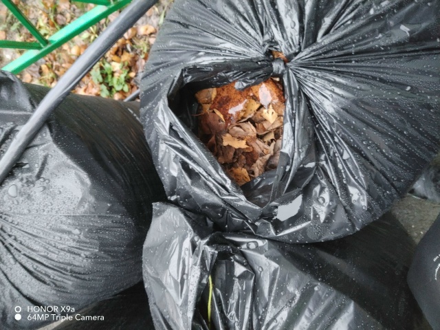 С первого дня осени в России вступают в силу новые прав...