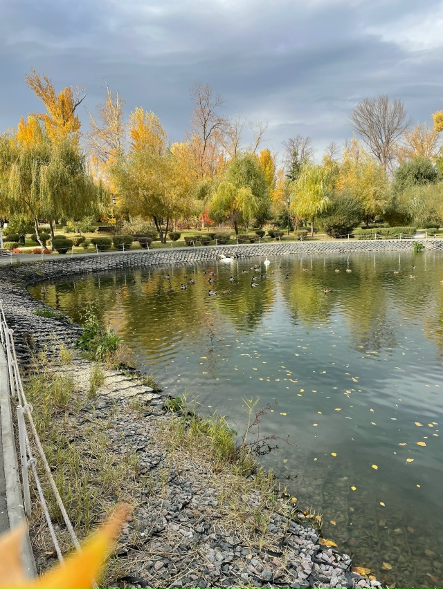 Снова осень 🍂 за окном
📸