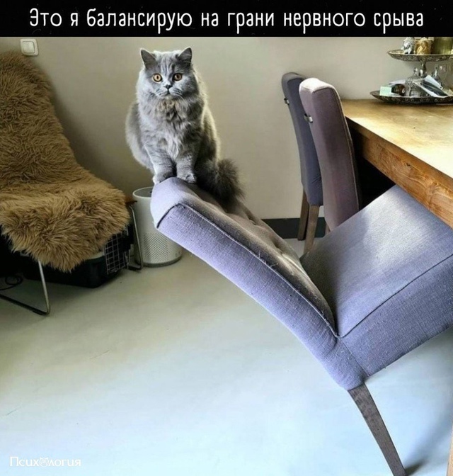 Коротко про мою нервную систему: