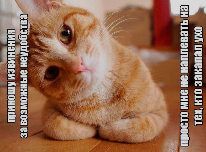 Ночная подборочка
Спать, режим